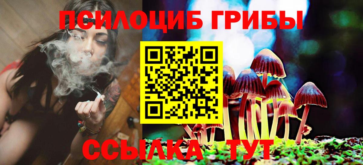 Камень-на-Оби  Псилоцибиновые грибы Psilocybine cubensis  Вход с VPN 